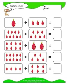 Toplama İşlemi Çalışma Sayfaları